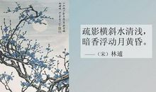 疏影横斜水清浅，暗香浮动月黄昏