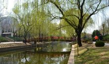 癫狂柳絮随风舞，轻薄桃花逐水流