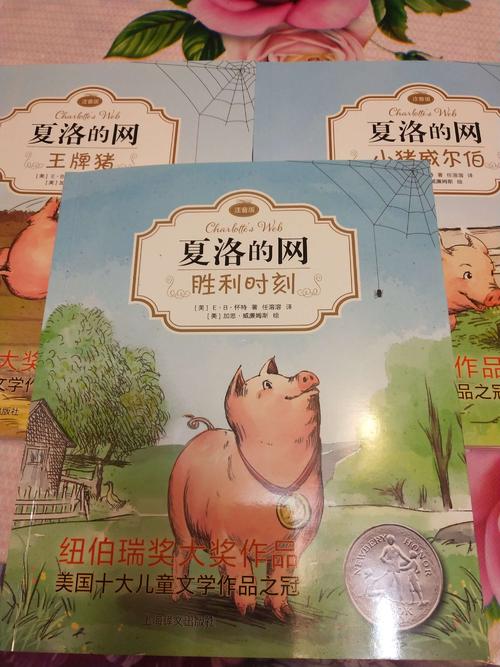 “夏洛沃的网络”是_300字的感觉