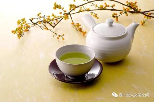 周末茶书_500字