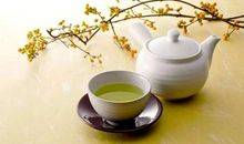 周末茶书趣_500字