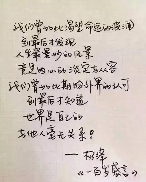 男孩在我眼中玩_800字