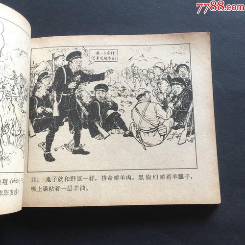 鸡新闻_1000字