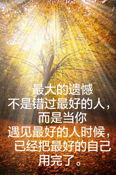 不幸的美女_750字