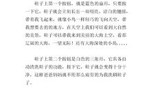 四年级想象作文：未来的鞋子_550字