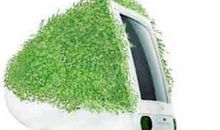 绿色在呼唤_700字