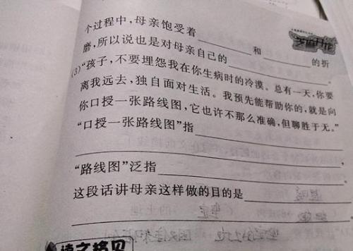 母亲喜欢美元_450字