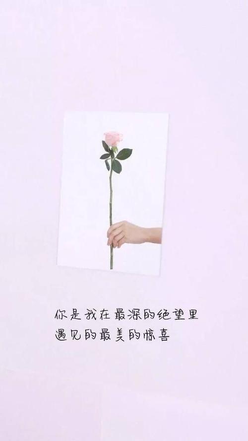 爱是什么样的？_200字