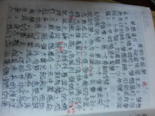 爱国成分：我们爱你，中国_500字