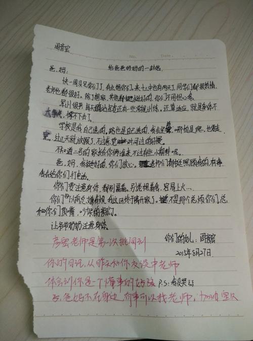 给我父亲的母亲_500字的一封信