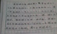 读《圆明园的毁灭》有感_650字