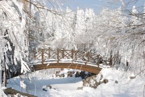 美丽的雪_250字