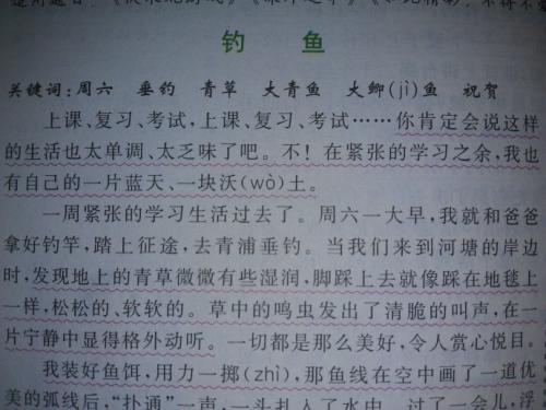 高中写作组成：她_800字