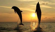 照亮成功的路——失败_500字