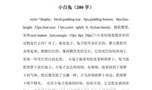 外公家的小白兔_300字