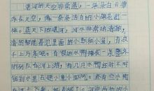 关于我的家乡的作文：我家乡的竹海_650字