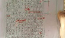 关于我的家乡的作文：我爱家乡的大闸蟹_550字