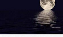 我的自尊心_900字