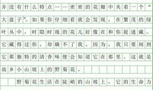 关于我的家乡的作文：舌尖上的家乡_900字