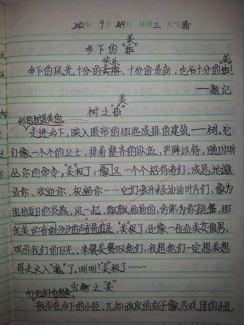 在我家乡的构图：我的家乡米田_700字