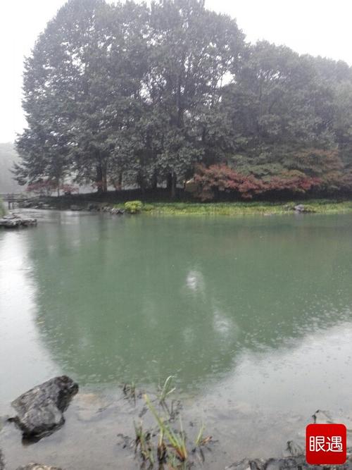 Rain Connects_450字