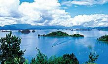 游桂山公园_500字