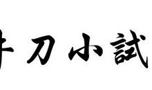 第六章 牛刀小试_2000字