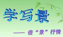 生活因什么而精彩_800字