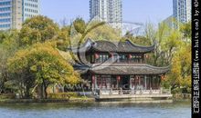 夏夜的月湖公园 _600字