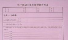 特殊的作业_450字