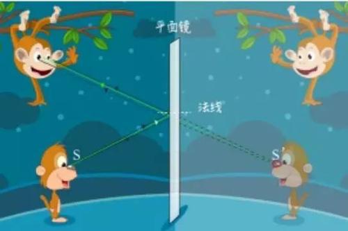 猴子钓鱼球_100字