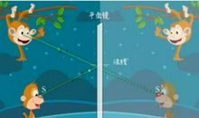 猴子捞皮球_100字