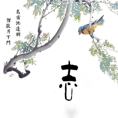 如果我是一个magpie _350字