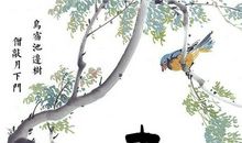 假如我是一只喜鹊_350字