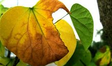 我发现了生活中的美_450字