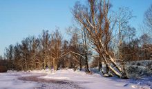 家乡的冬天_1200字