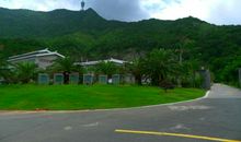 梧桐山体育公园_450字