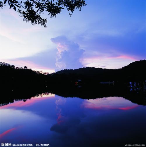 在距离，我们发现一棵树，上面有很多白花，非常漂亮！我们看起来很接近它，咦，这是如何独一无二的那种花的形状！突然，我的兄弟做了一个yast。白花是一个惊喜，事实证明，打开了他的翅膀。我环顾四周，你没有风吗？这太像是一只鸟 - 他们飞到了对面的树上，关闭了翅膀，并成为一个“白花”。原来是一只鸟！只是这种鸟是白色的，翅膀变成白花！