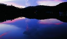 游仙湖公园_800字