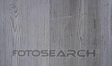 老人在等待_450字