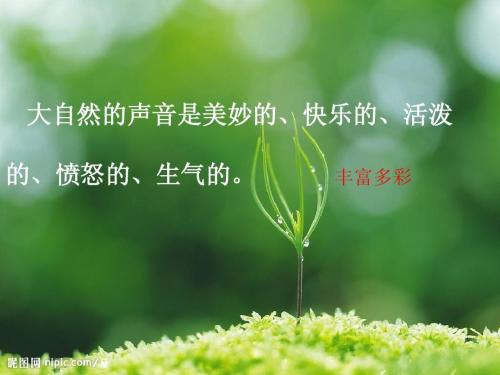 大自然的声音_500字