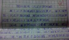 假如我有一只尼尔斯的鹅_1000字