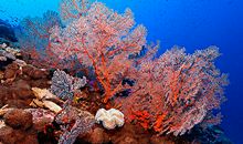 在天上的家_400字