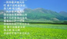 大自然的美_600字