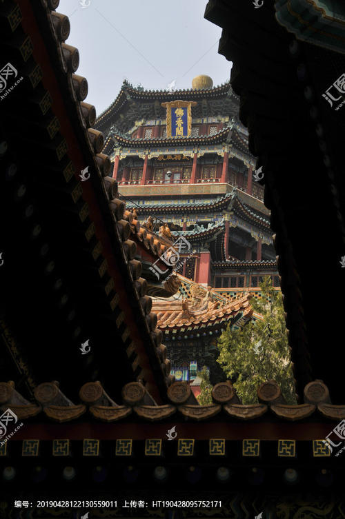 走到佛面前，往下看，颐和园的美丽风景位于底部。洋葱充满了黄色，绿色玻璃屋顶和朱红的宫殿墙，如果它是一个隐藏的，没有。看看佛亭的前面，昆明湖都是，水波并不震惊。只有巡航和绘画在湖上平静，慢慢滑倒，几乎没有痕迹。在东方，微弱的近似可以看到古城的白塔和城市的树木。