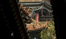 颐和园·佛香阁_1000字