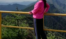 秦楚古道参观记_700字