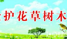 春天地发现_150字