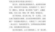 爷爷家的景色_350字