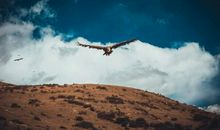 [七月浅谈] 我希望被你需要_1200字